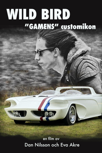 Artikkelbilde til artikkelen Sniktitt på filmen WILD BIRD "GAMENS" customikon!